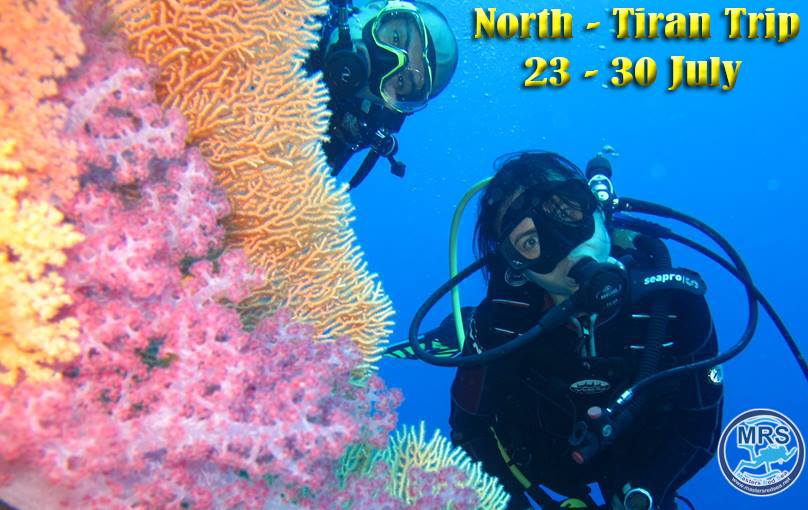 23/07/2019 - 30/07/2019 M/Y New Regency
