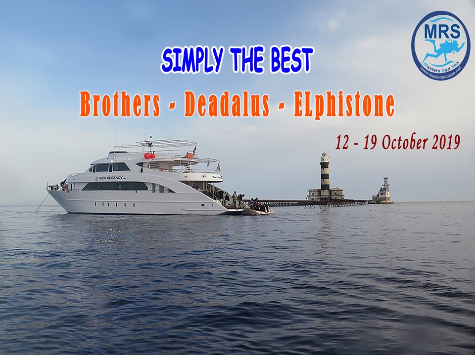 12/10/2019 - 19/10/2019 M/Y New Regency