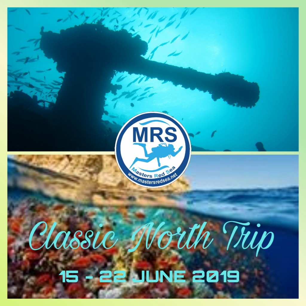 15 /06 /2019 - 22 / 06 /2019 M/Y New Regency