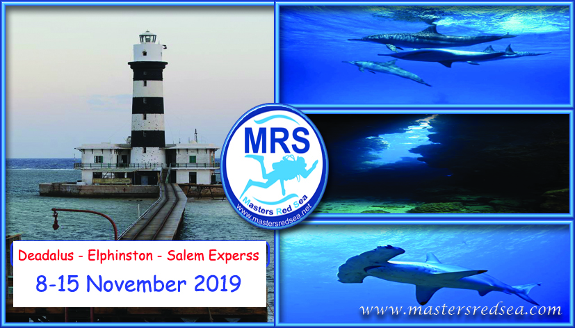 8/11/2019 - 15/11/2019 M/Y New Regency