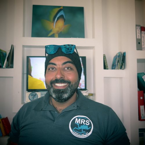 Amr Mario